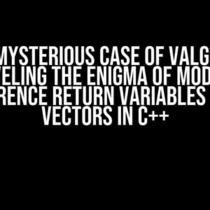 The Mysterious Case of Valgrind: Unraveling the Enigma of Modifying Reference Return Variables from Vectors in C++