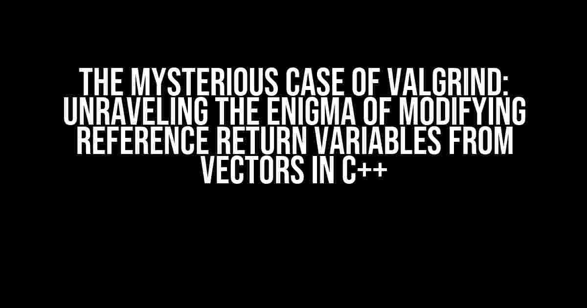 The Mysterious Case of Valgrind: Unraveling the Enigma of Modifying Reference Return Variables from Vectors in C++